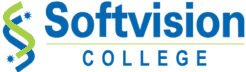 cropped-softvision